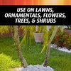 image:imageOrtho Orthene Fire Ant Killer Lawn amp Landscape Broadcast ReadytoSpray  ReadytoSpray HoseEnd Applicator Kills Fire Ants Fleas and American Dog Ticks 32 fl ozReady to Spray
